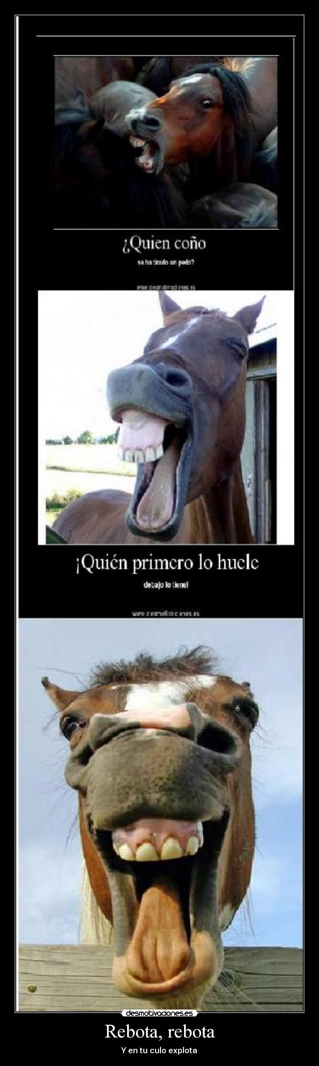 carteles caballo cadena pedo humor desmotivaciones