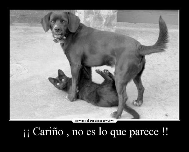 ¡¡ Cariño , no es lo que parece !! -