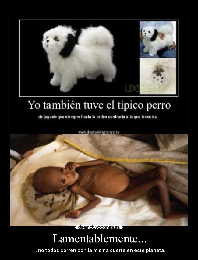 Lamentablemente... - ... no todos corren con la misma suerte en este planeta.