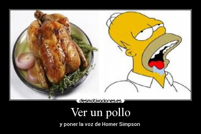Ver un pollo - 