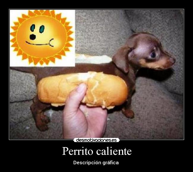 Perrito caliente - Descripción gráfica 