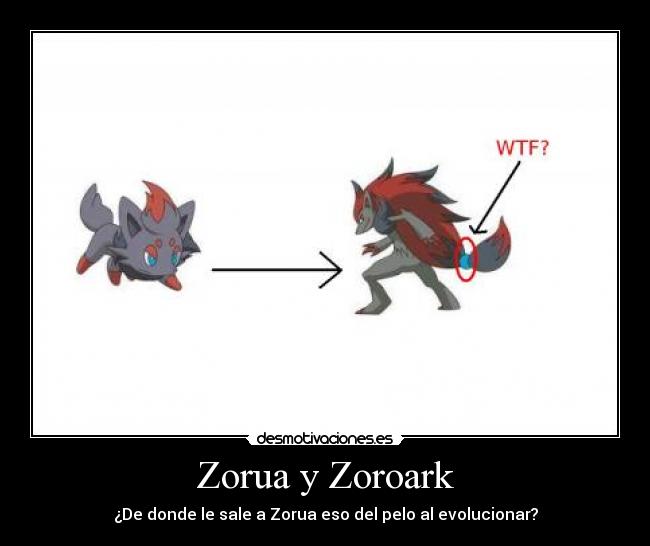 Zorua y Zoroark - 