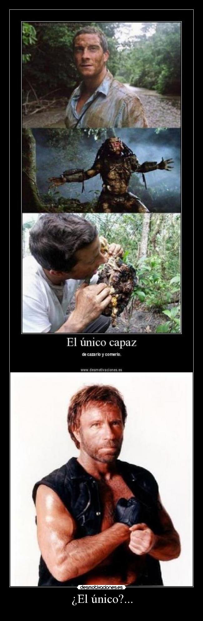 carteles chuck norris desmotivaciones