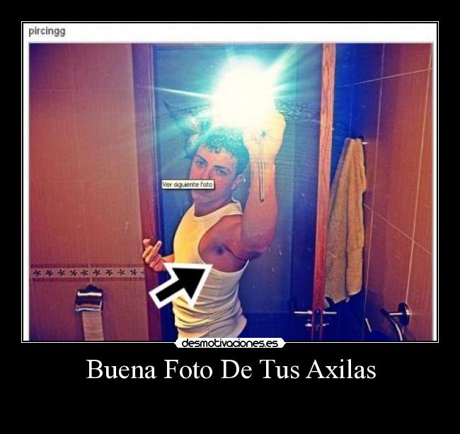 carteles axilas canis sobacos pelos desmotivaciones