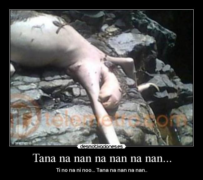 carteles tana nan nan nan desmotivaciones