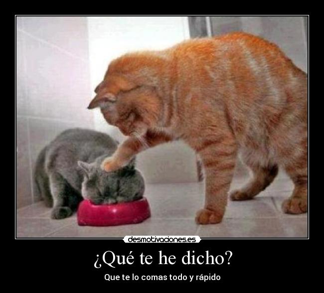 ¿Qué te he dicho? - Que te lo comas todo y rápido