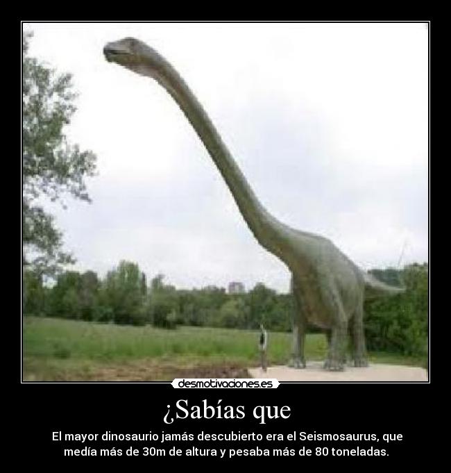 ¿Sabías que -  El mayor dinosaurio jamás descubierto era el Seismosaurus, que
medía más de 30m de altura y pesaba más de 80 toneladas.