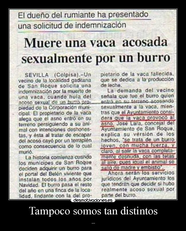 carteles tampoco somos tan distintos desmotivaciones