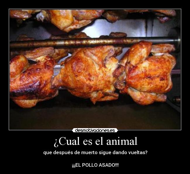 ¿Cual es el animal - que después de muerto sigue dando vueltas?

¡¡¡EL POLLO ASADO!!!