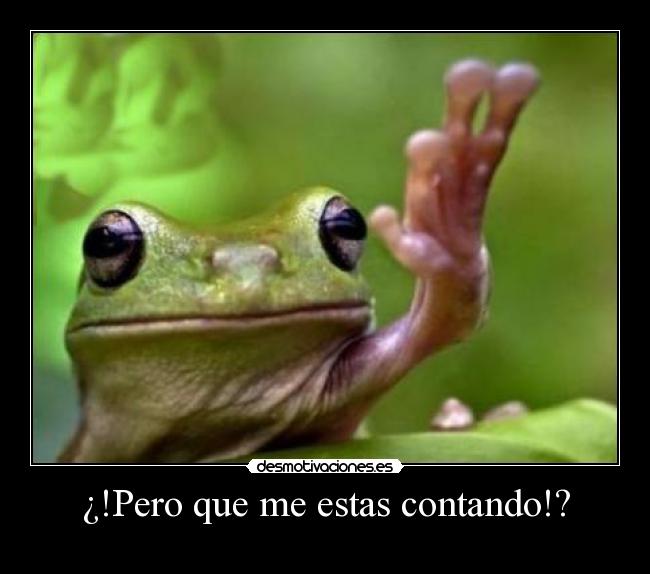¿!Pero que me estas contando!? - 