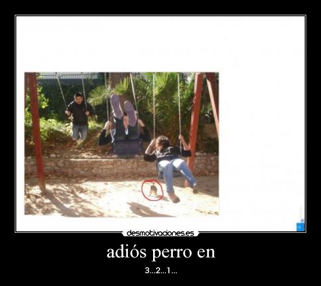 adiós perro en - 3...2...1...