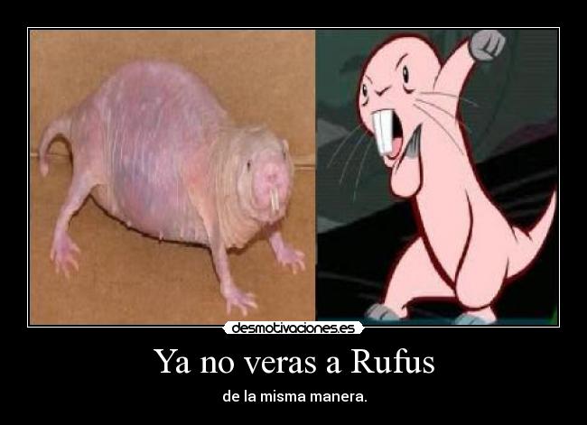 Ya no veras a Rufus - de la misma manera.