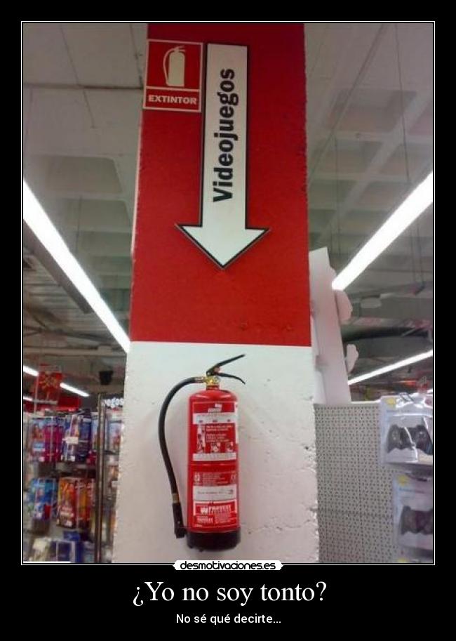 ¿Yo no soy tonto? - No sé qué decirte...
