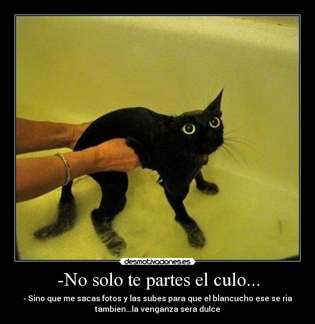 -No solo te partes el culo... - - Sino que me sacas fotos y las subes para que el blancucho ese se ria
tambien...la venganza sera dulce