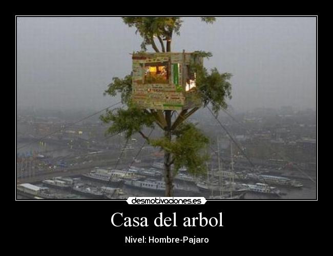 Casa del arbol - 