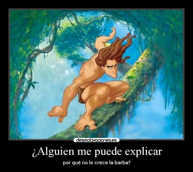 carteles alguien puede explicar desmotivaciones