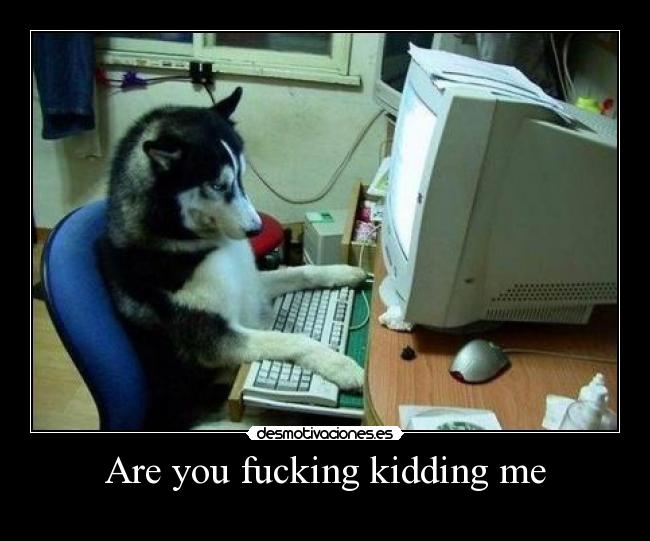 Are you fucking kidding me -