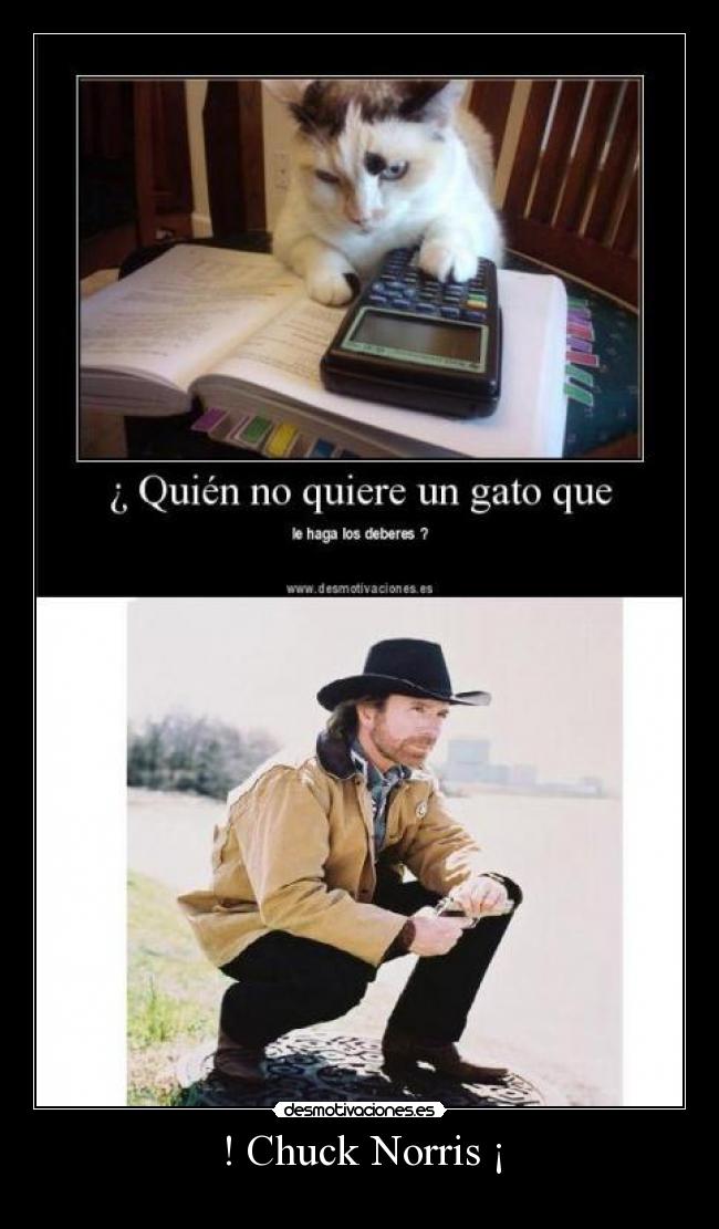 ! Chuck Norris ¡ -