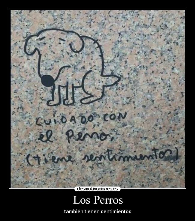 Los Perros - también tienen sentimientos