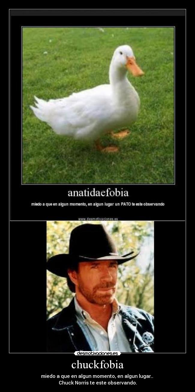 chuckfobia -