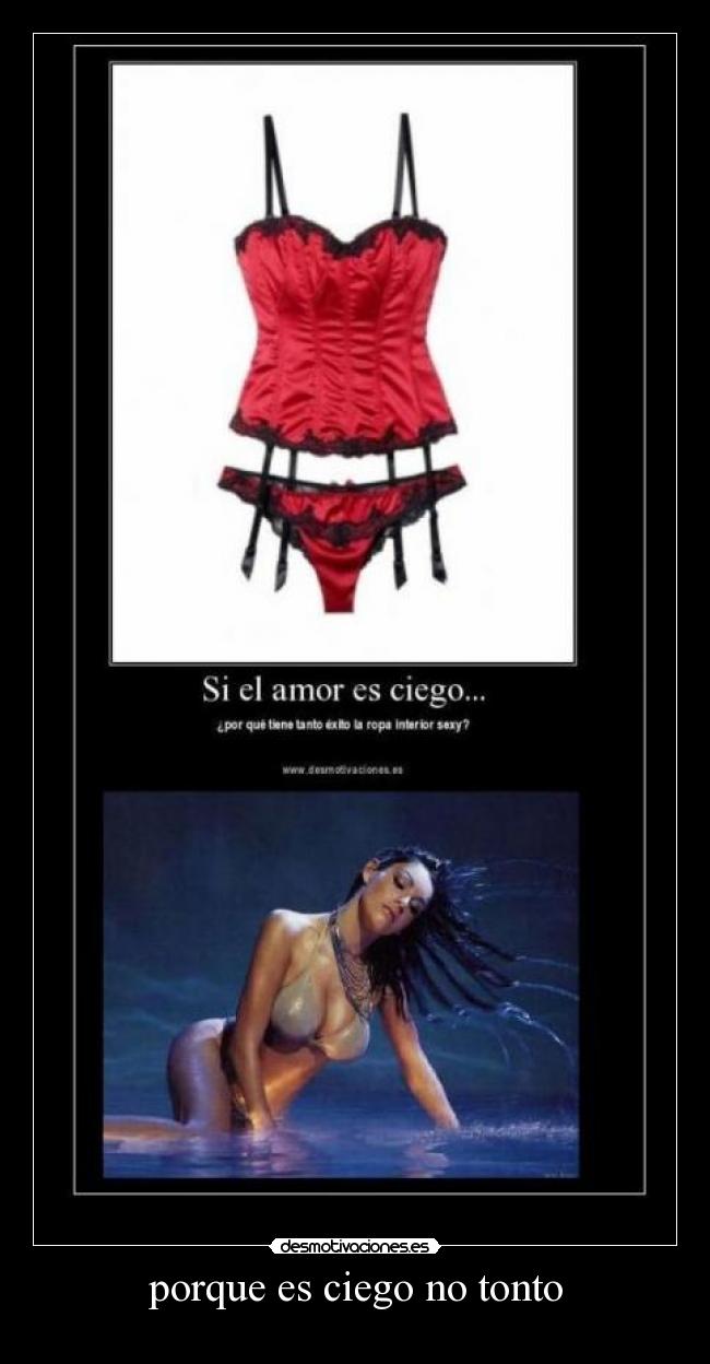 porque es ciego no tonto -