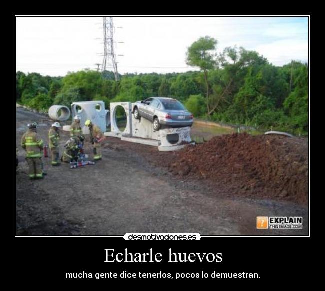 carteles huevos desmotivaciones