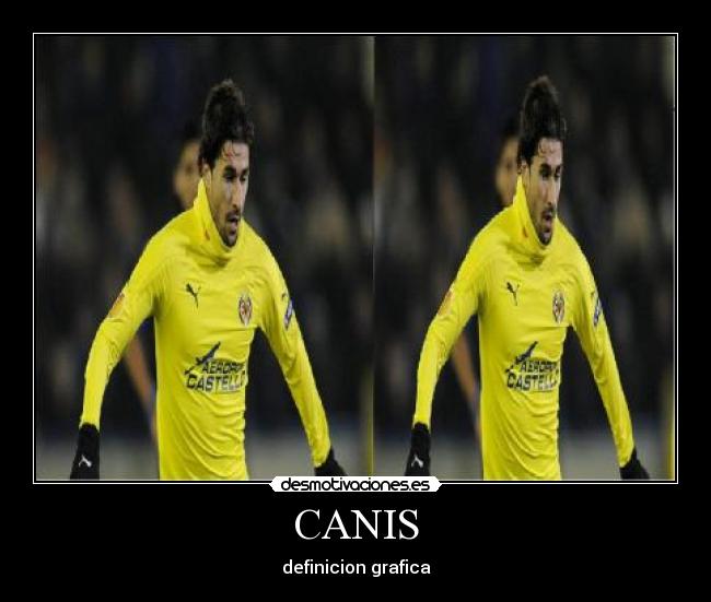 CANIS - definicion grafica