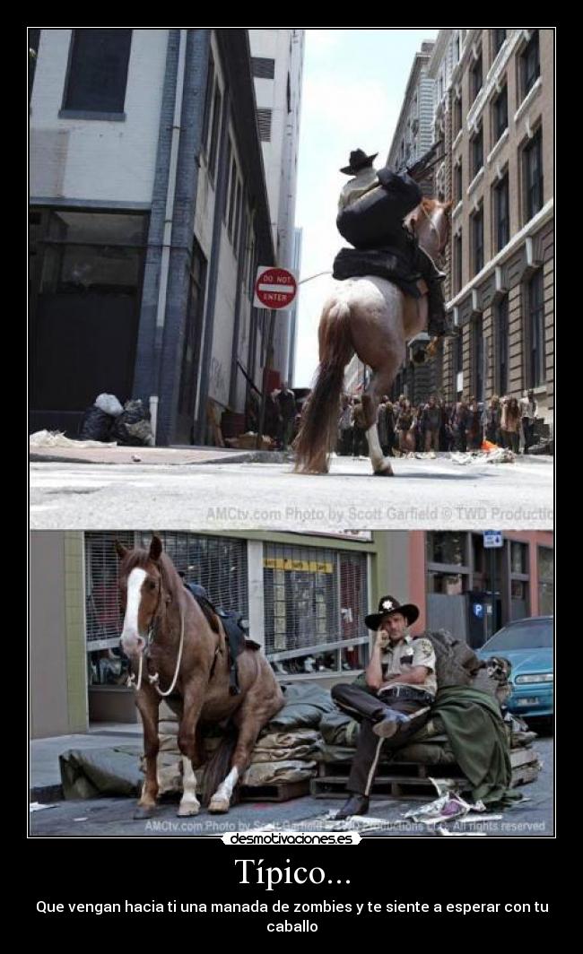 Típico... - Que vengan hacia ti una manada de zombies y te siente a esperar con tu caballo