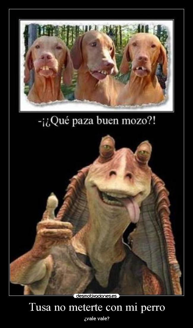 Tusa no meterte con mi perro - ¿vale vale?