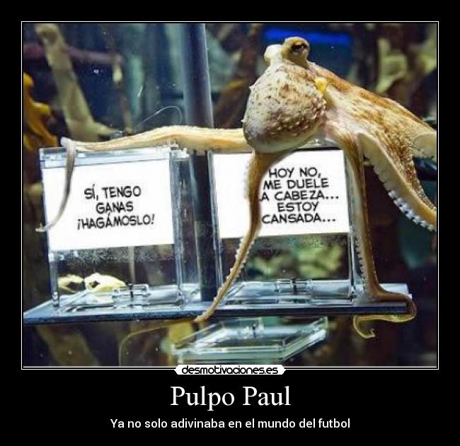 Pulpo Paul - 