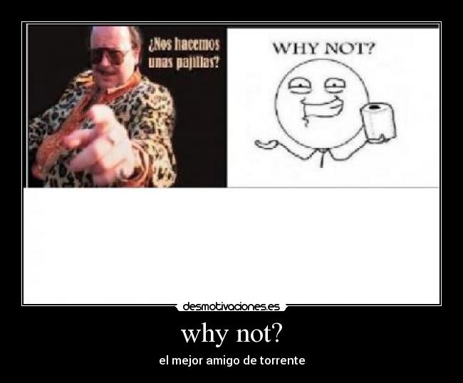 why not? - el mejor amigo de torrente