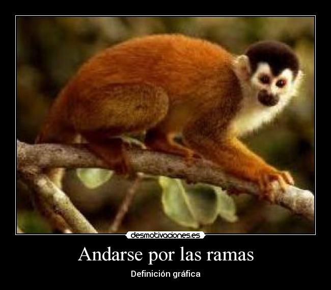 Andarse por las ramas - Definición gráfica