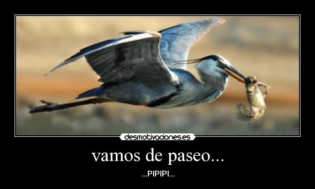 vamos de paseo... - ...PIPIPI...