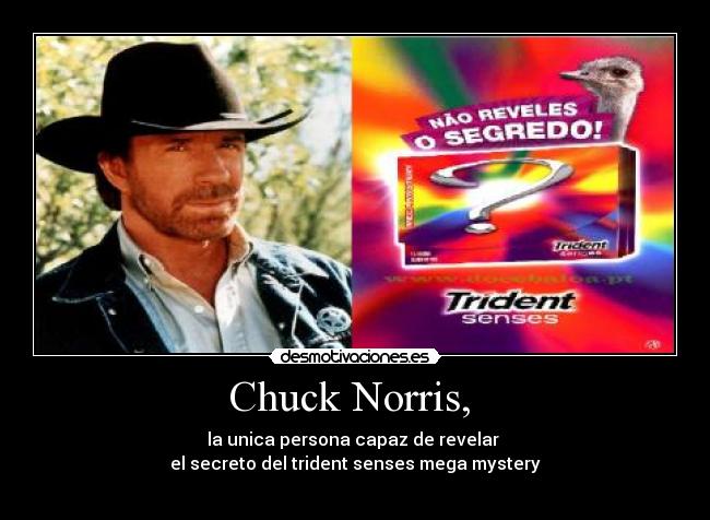 Chuck Norris, -