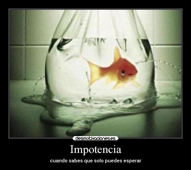 Impotencia -