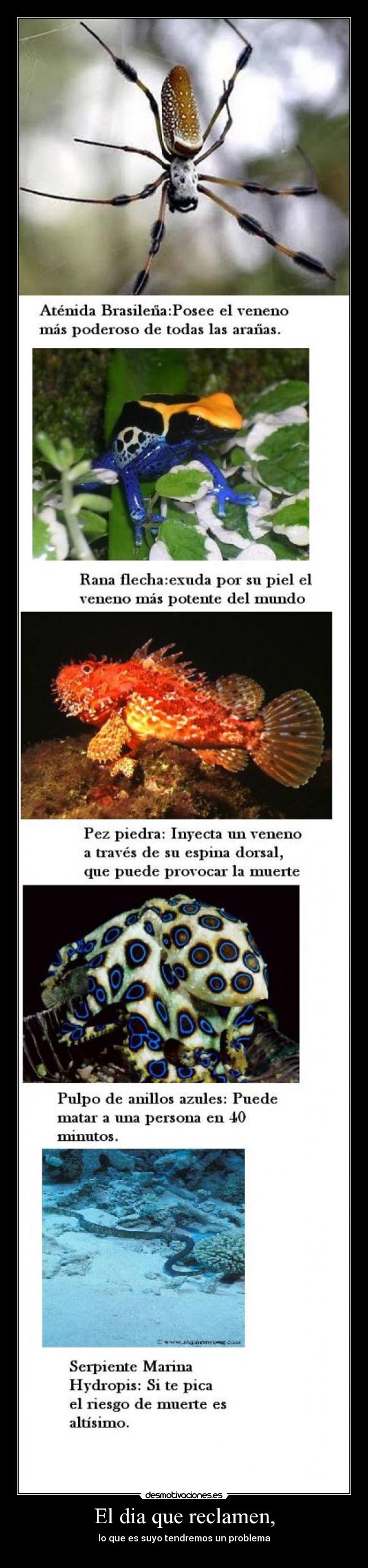 El dia que reclamen, -