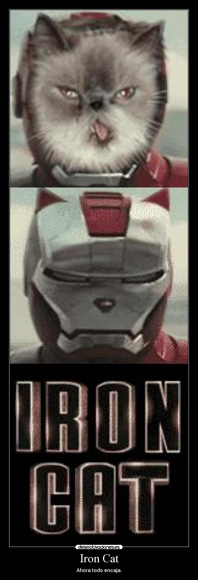 Iron Cat - 