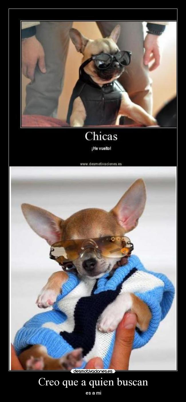 Creo que a quien buscan - 