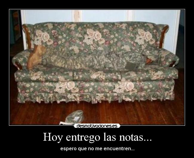 carteles mola desmotivaciones