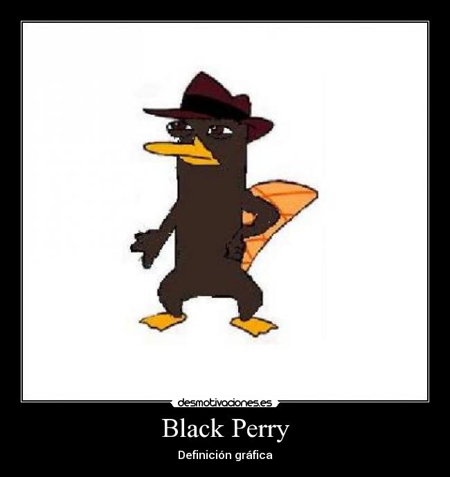 Black Perry - Definición gráfica