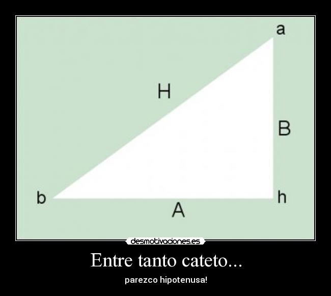 Entre tanto cateto... - parezco hipotenusa!