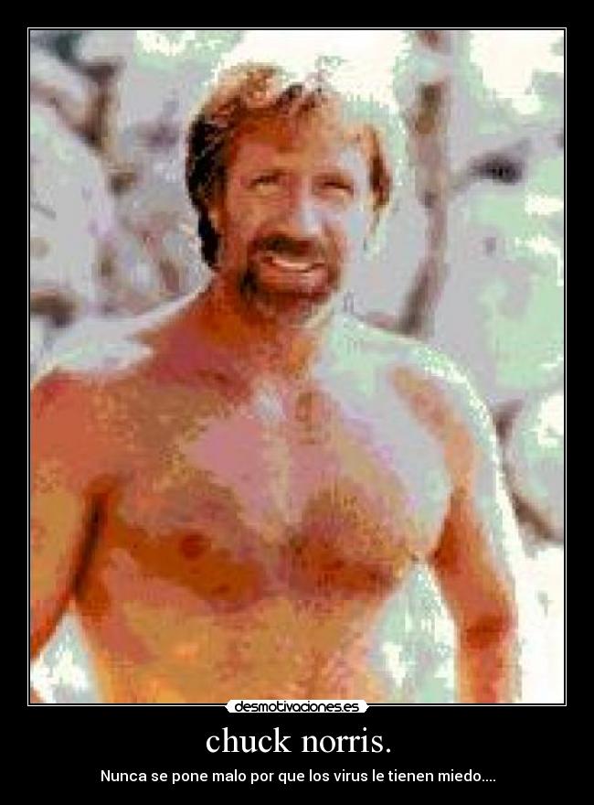 chuck norris. -