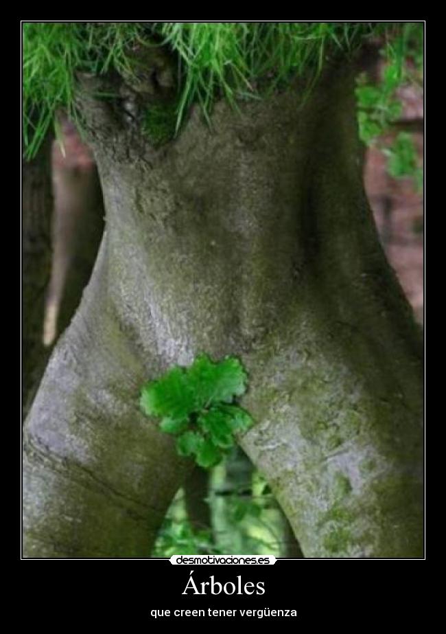 Árboles - 