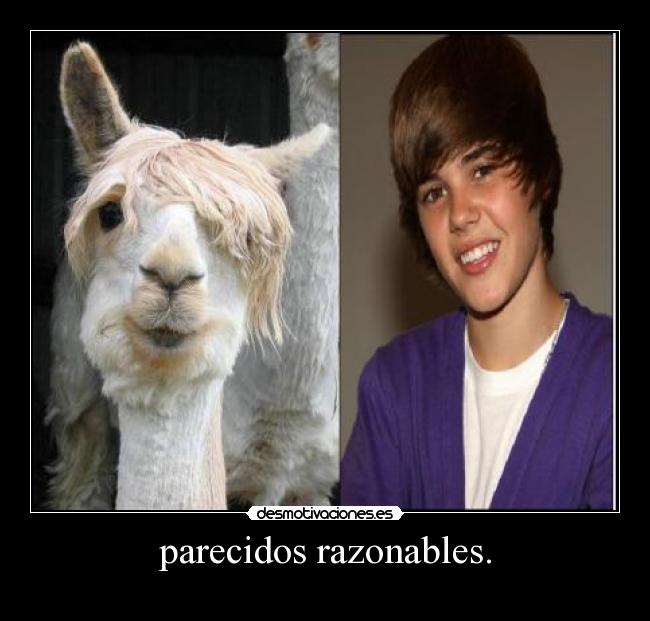 carteles desmotivaciones