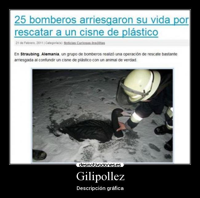 Gilipollez - Descripción gráfica