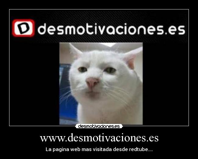 www.desmotivaciones.es - La pagina web mas visitada desde redtube....