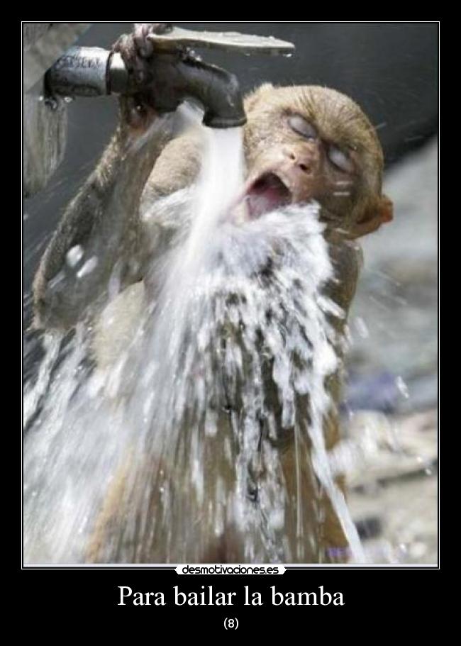 carteles para bailar bamba desmotivaciones