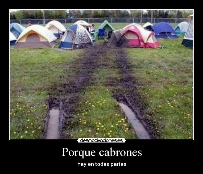 Porque cabrones - hay en todas partes