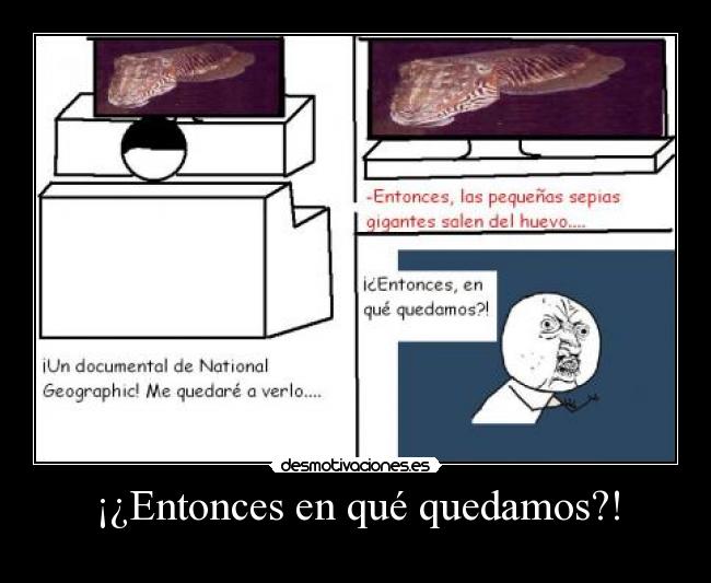 ¡¿Entonces en qué quedamos?! -