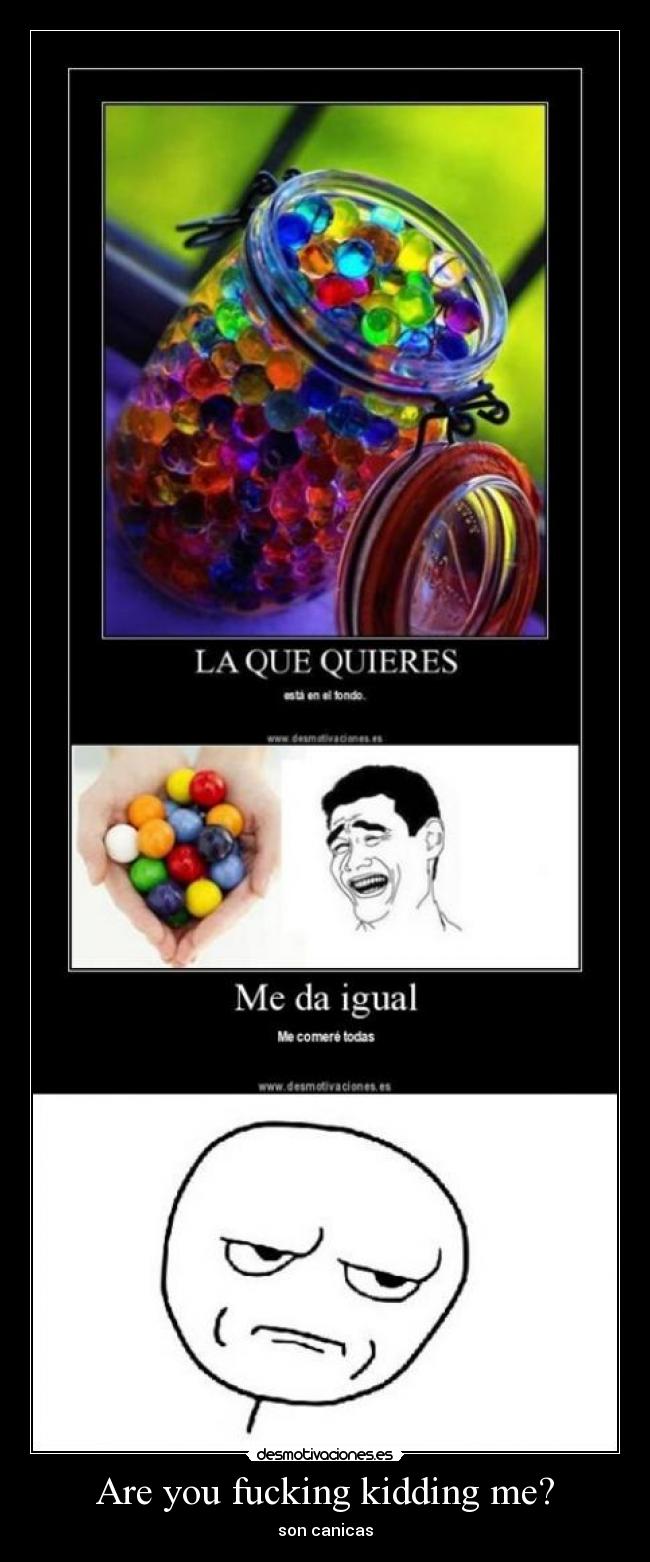 Are you fucking kidding me? -